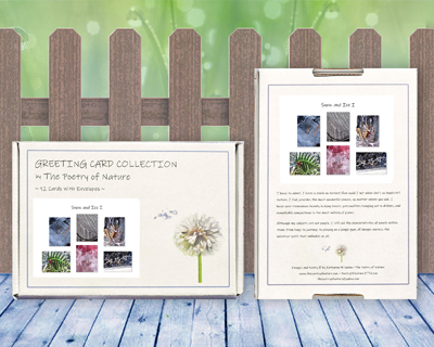 Snow and Ice I Greeting Card Collection by The Poetry of Nature